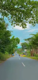 Scenic road with lush greenery and blue skies forming a serene mobile wallpaper.