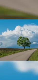 Peaceful rural road with a solitary tree under a vibrant blue sky.