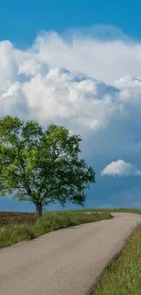 A lone tree beside a winding road under a bright blue sky and fluffy clouds.