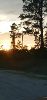 Sunset over a country road with silhouetted trees and a dark sky.