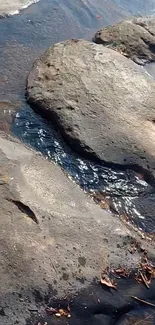 Rock-lined stream with serene water flow over stones.