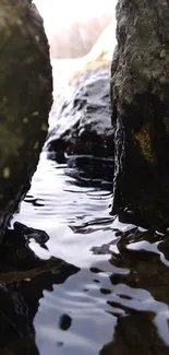 Tranquil stream flowing between dark rocks in a serene natural setting.