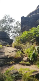 Rocky pathway with greenery and boulders.