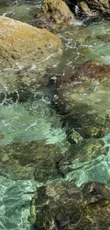 Rocky shoreline with turquoise waters and serene ambiance.