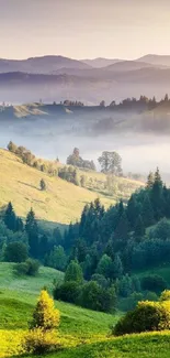 Serene landscape with rolling green hills and morning mist.