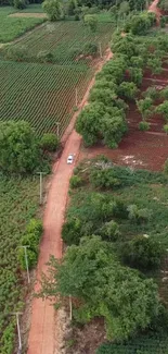 Aerial view of a picturesque rural landscape with greenery and a dirt road.