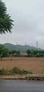 Serene rural landscape with hills, trees, and power lines under a gray sky.