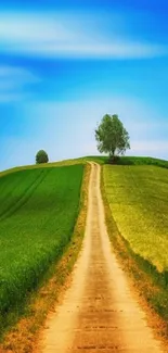 Serene rural path through green fields under a blue sky.