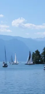 Sailboats float peacefully on a mountain lake.