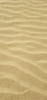 Serene beige sand dunes creating a calming mobile wallpaper texture.