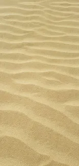 Calm and soothing sand dune wallpaper with beige tones.