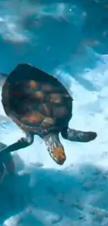 Sea turtle gracefully swimming underwater in a serene ocean setting.