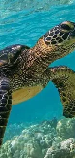 Serene underwater image of a sea turtle swimming peacefully.