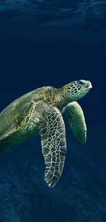 Sea turtle swims in a deep blue ocean, captured in serene wallpaper.