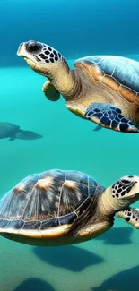 Two majestic sea turtles swimming in a cyan ocean.