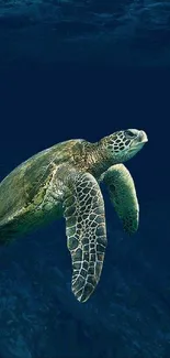 Peaceful sea turtle swimming in deep blue ocean wallpaper.