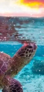 Sea turtle swimming under vibrant sunset with turquoise waters.