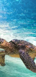 Serene sea turtle swimming in vibrant aqua ocean backdrop.