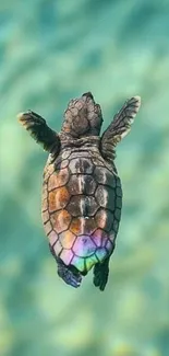 A sea turtle swimming in clear blue waters, showcasing vibrant shell colors.