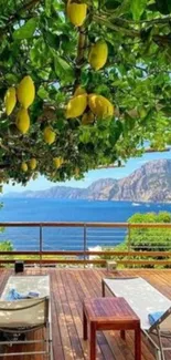 Lemon trees overhang a deck with ocean and mountain views.