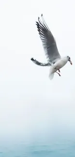 Seagull flying gracefully over a calm ocean with a cloudy sky backdrop.