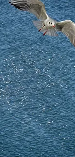 Seagull soaring over blue ocean waters, creating a peaceful scenery.