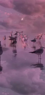 Seagulls reflected in tranquil sunset ocean.