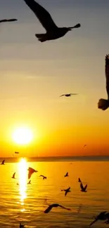 Seagulls fly over a calm sea during a golden sunset.