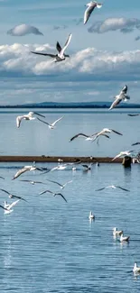 Seagulls flying over calm ocean waters under a blue sky.