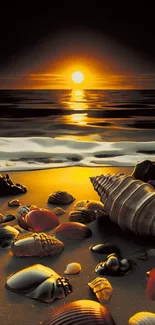 Sunset on a beach with seashells on sand.