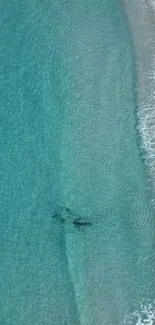 Aerial view of a serene beach with turquoise waves and sandy shore.