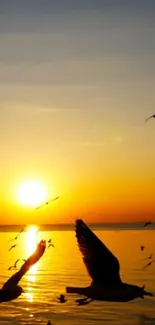 Sunset over the ocean with birds flying