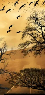 Autumn landscape with silhouetted trees and birds against an amber sunset sky.