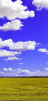 Vivid blue sky with clouds over a lush green field.