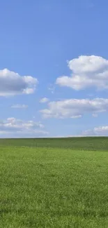 Blue sky and green field mobile wallpaper.