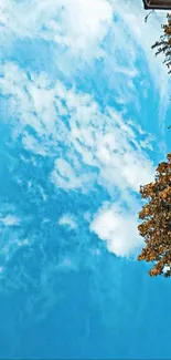 Bright blue sky with clouds and autumn leaves on the side.