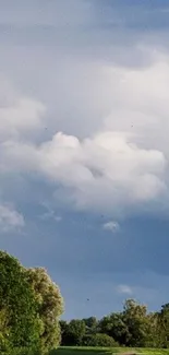 Blue sky with fluffy clouds over green trees.