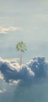 Palm tree rising through fluffy clouds against a tranquil blue sky wallpaper.