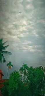 Palm trees under a cloudy sky with a distant airplane above.