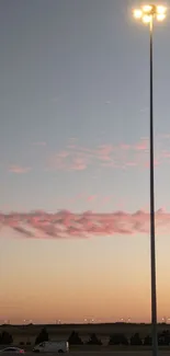 Streetlight glowing under a calm dusk sky.