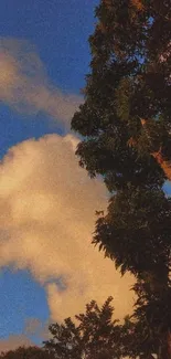 Serene wallpaper of tree and blue sky with clouds.