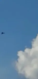 Serene blue sky with a white cloud and small jet.