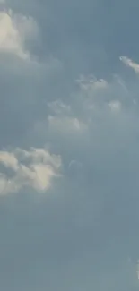 Serene sky with fluffy clouds on a light blue background.