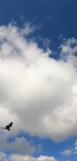 Birds flying in a blue sky with white clouds