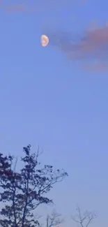 Serene evening sky with moon and wispy clouds.