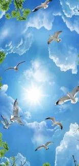 Wallpaper of blue sky with soaring seagulls.