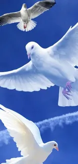 White doves flying peacefully across a bright blue sky.