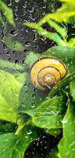 Snail elegantly perched on vibrant green leaves.