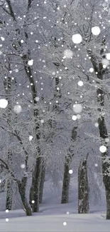 Snowy forest with falling snowflakes.