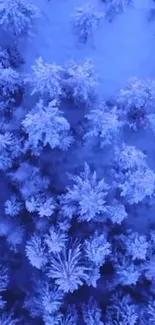 Aerial view of snow-covered forest in calming blue hues.